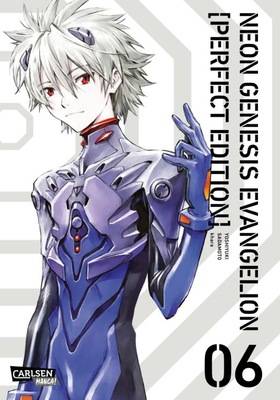 Neon Genesis Evangelion Perfect Edition 6