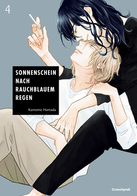 Sonnenschein nach rauchblauem Regen 4