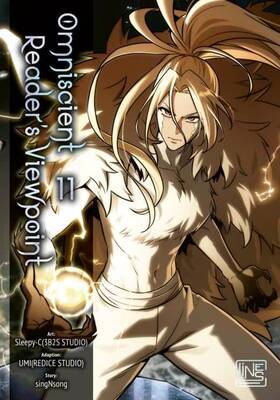 The Omniscient Reader's Viewpoint 11