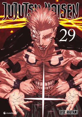 Jujutsu Kaisen 29