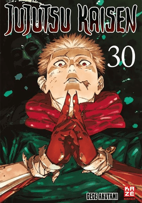 Jujutsu Kaisen 30 (Finale)