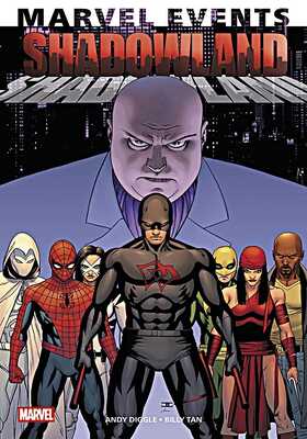 Marvel Events: Shadowland