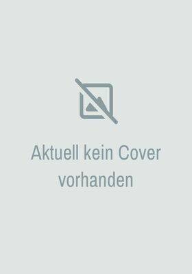 Overlord Novel 11 SC