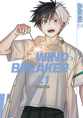 Wind Breaker 21
